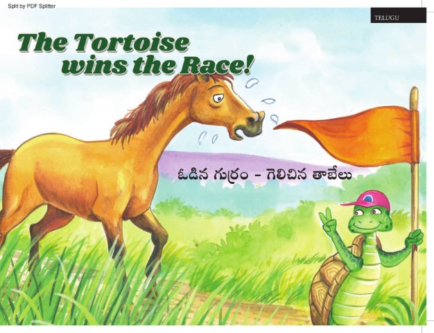 The Tortoise Wins the Race!